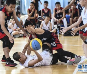  青少年篮球训练营，百名新苗开启特训