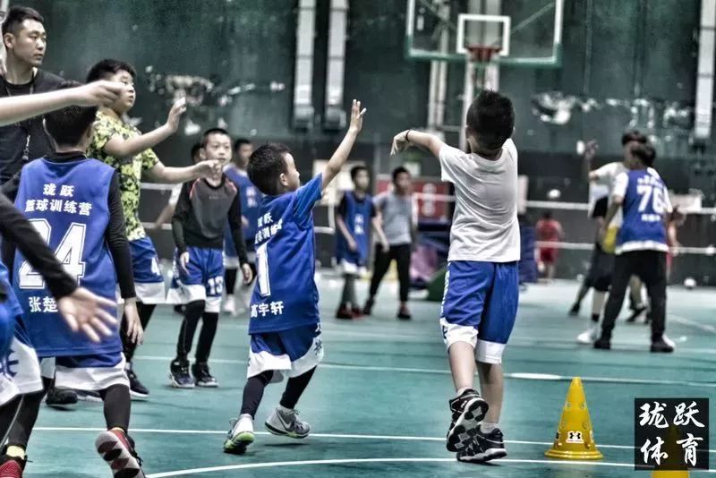  篮球夏令营报名启动，暑期特训即将开启